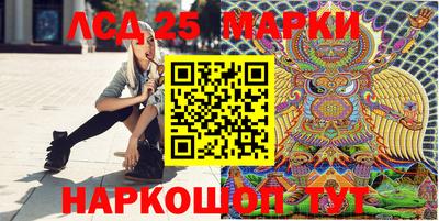 СК Будённовск
