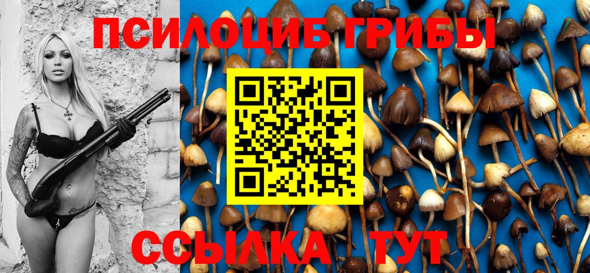 Галлюциногенные грибы Psilocybe  Вход с VPN  Учалы 